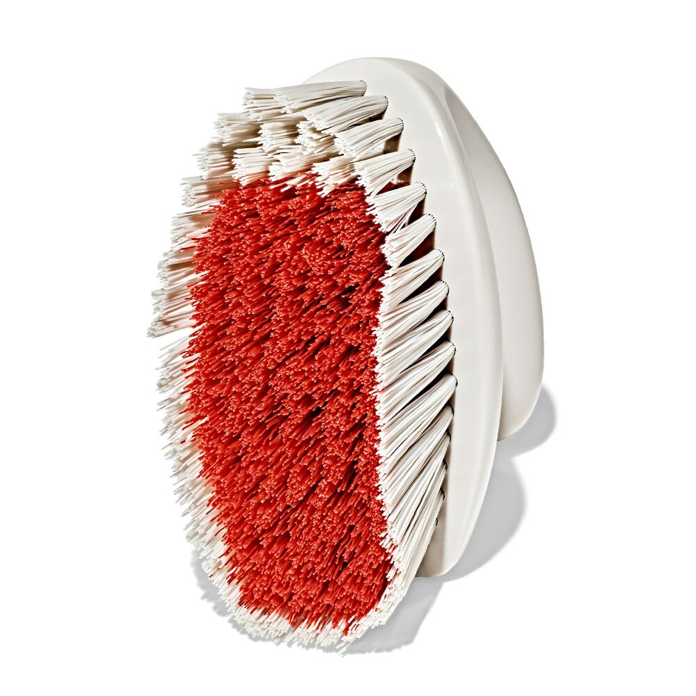 All-Purpose Scrub Brush 2-Pack N1