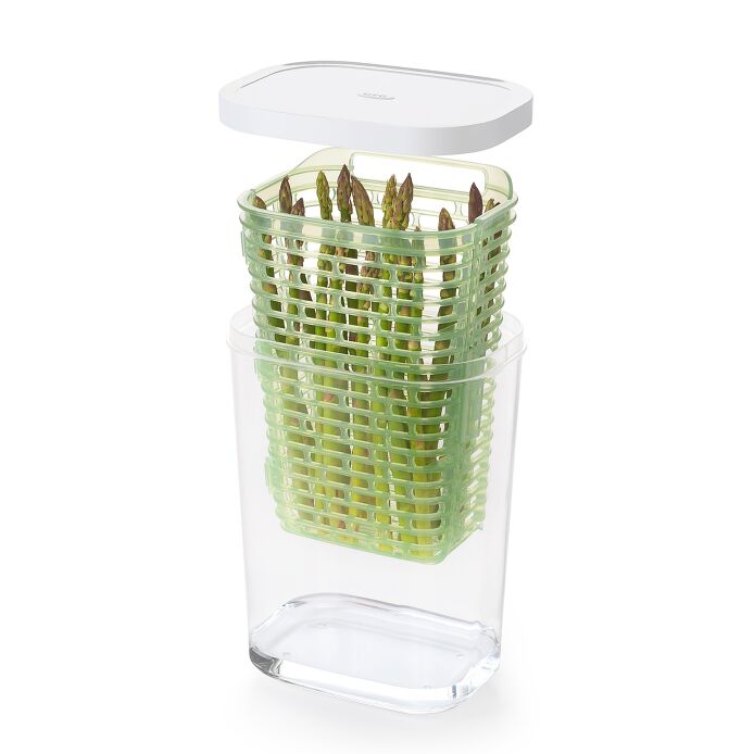 GreenSaver Herb Keeper - Large D6