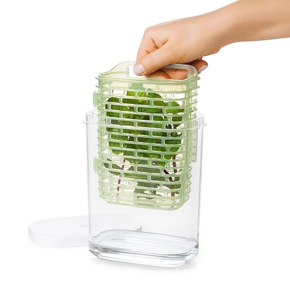 GreenSaver Herb Keeper - Small J3
