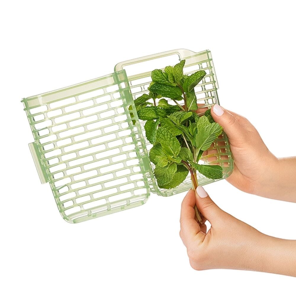 GreenSaver Herb Keeper - Small J3