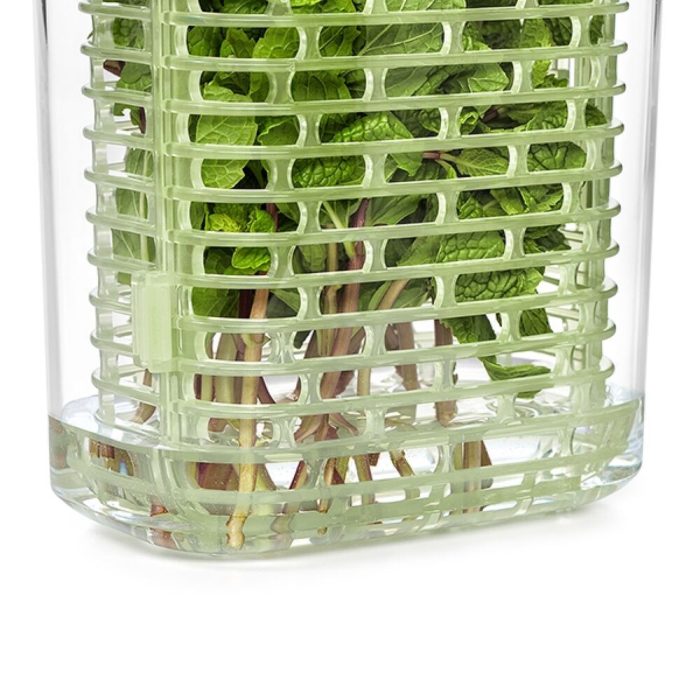 GreenSaver Herb Keeper - Small J3