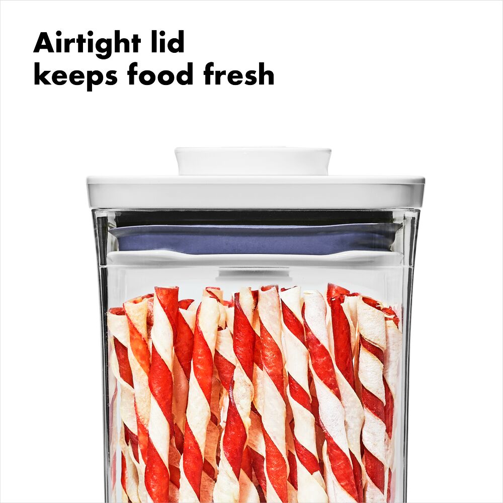 OXO Good Grips Pet POP Container – 1.1 Qt/1 L I6