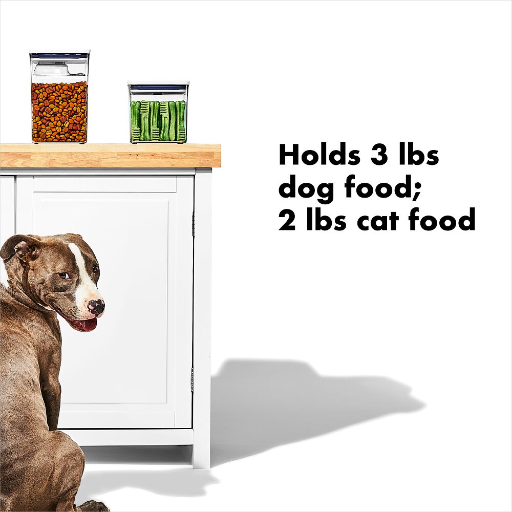 OXO Good Grips Pet POP Container – 2.8 Qt/2.6 L P2
