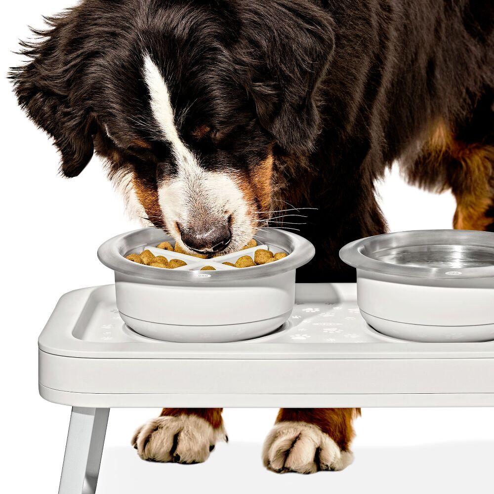 OXO Pet Easy-Clean Slow Feeder - Large, 4 Cups/950 ml D1