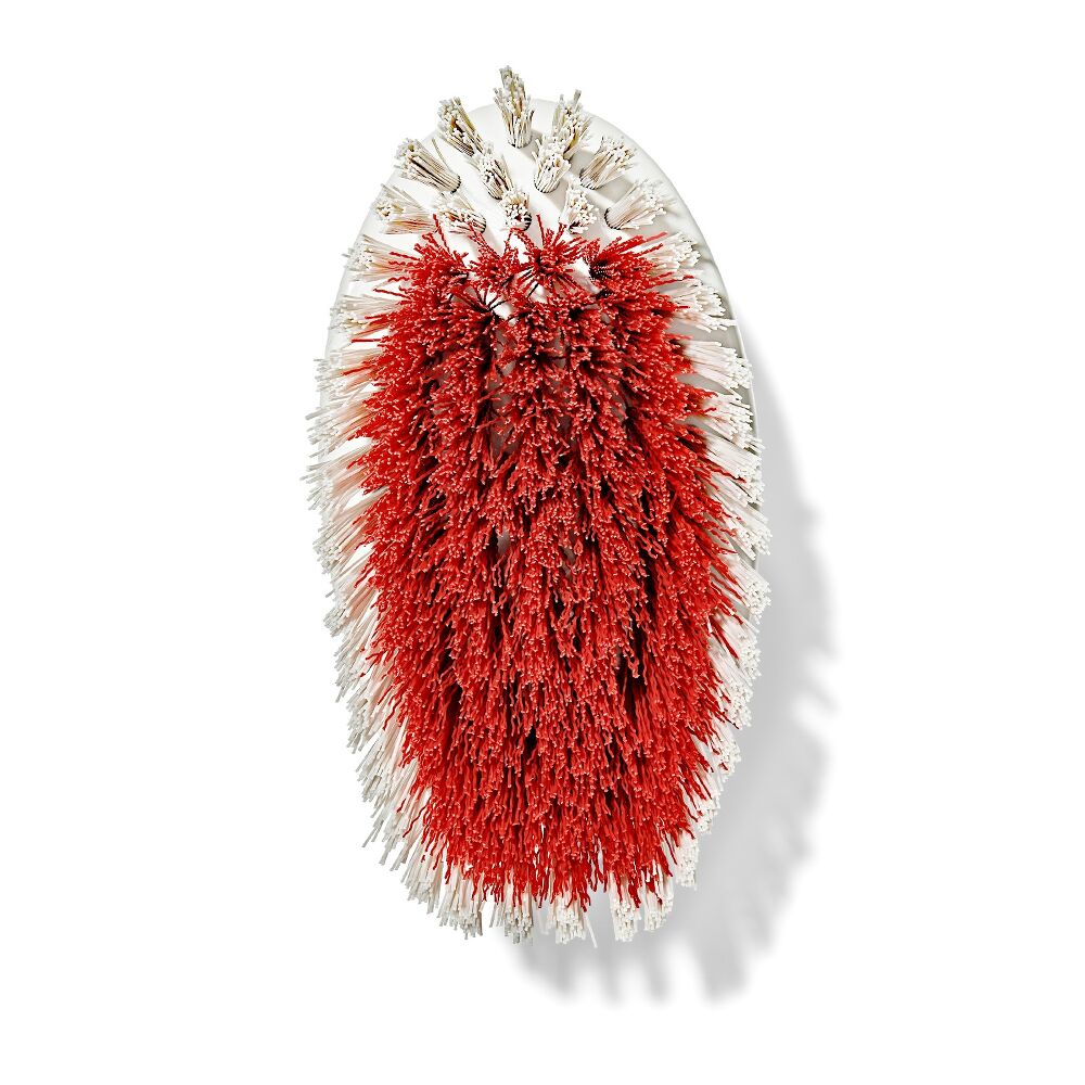 All-Purpose Scrub Brush 2-Pack N1