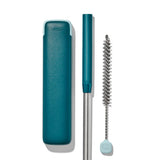 Collapsible Straw With Case W9