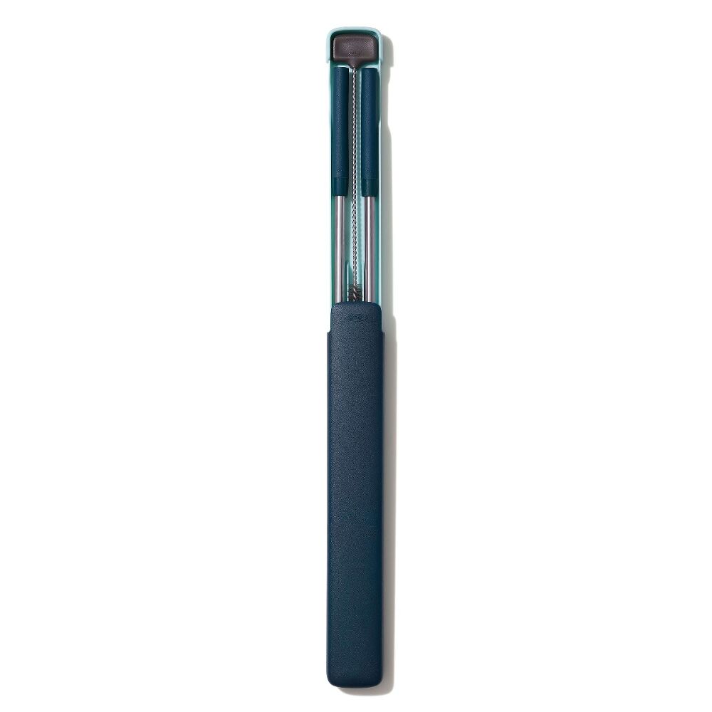 4-Piece Reusable Straw and Brush Set with Case