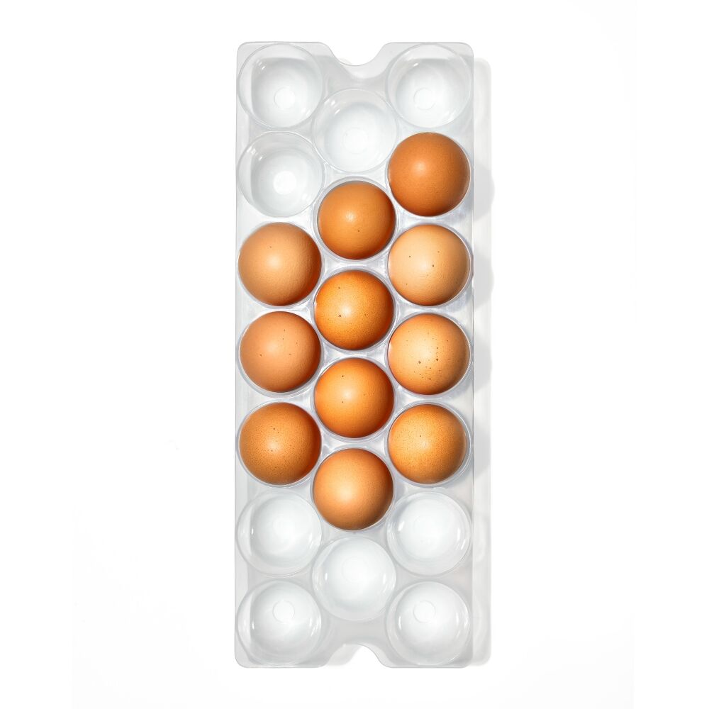 Refrigerator Egg Bin With Removable Tray R8