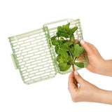 GreenSaver Herb Keeper - Small J3