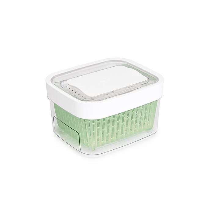 GreenSaver Produce Keeper (1.6 Qt) Y7