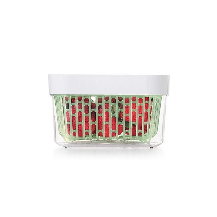 GreenSaver Produce Keeper (1.6 Qt) Y7
