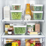 GreenSaver Produce Keeper (5.0 Qt) C8