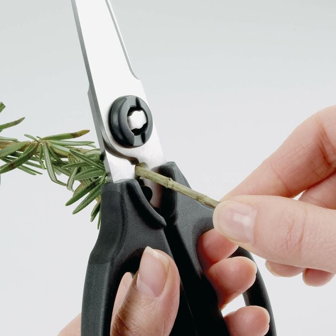 Kitchen And Herb Scissors D2