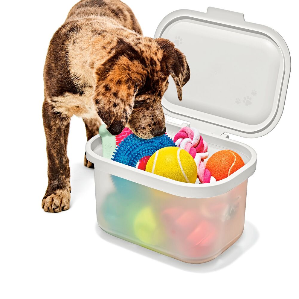 OXO Pet Multi-Purpose Container Q7