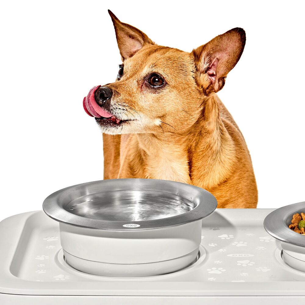 OXO Pet Nonslip Bowl - Medium, 2 Cups / 480 mL K8