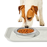 OXO Pet Nonslip Bowl - Small, 1 Cup / 240 mL Y9