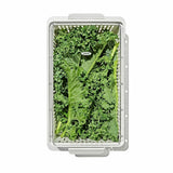 Produce Saver - Medium Bin I9