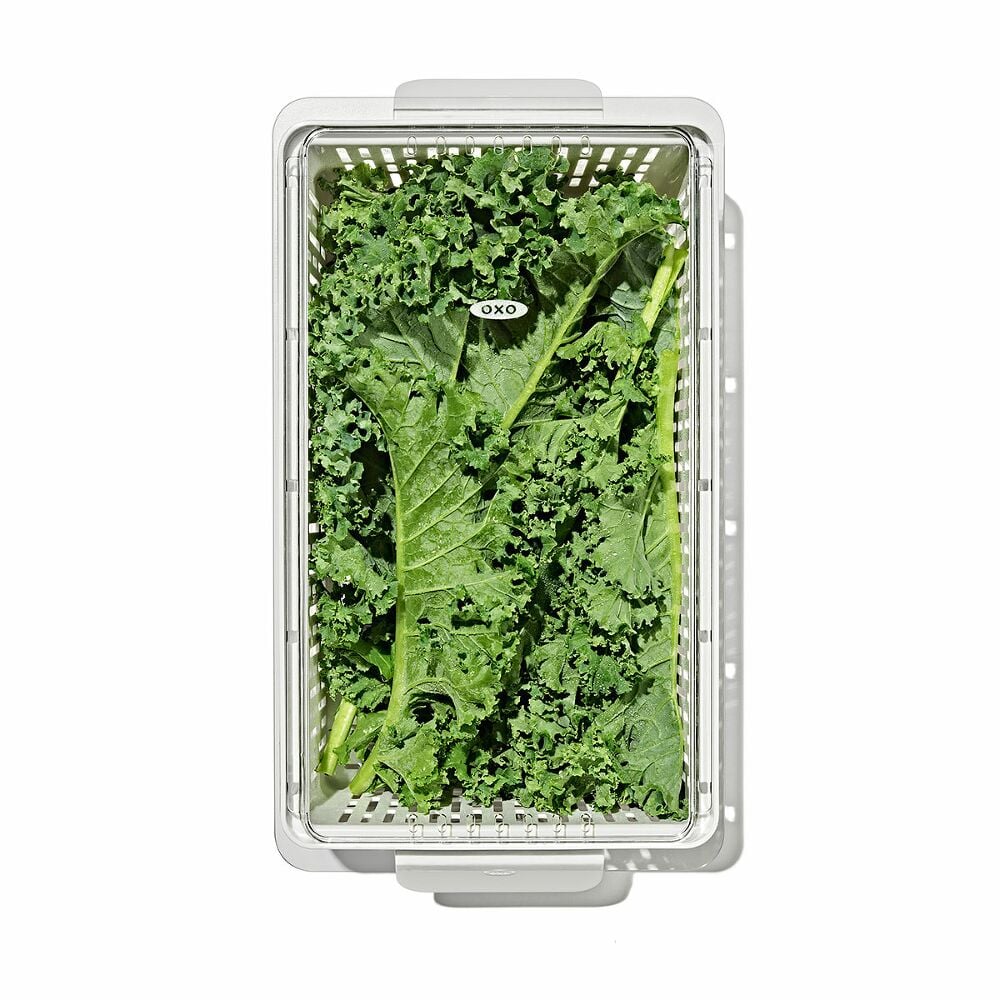 Produce Saver - Medium Bin I9
