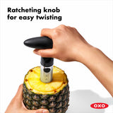 Stainless Steel Pineapple Slicer H5