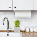 Steady Mounted Paper Towel Holder E6