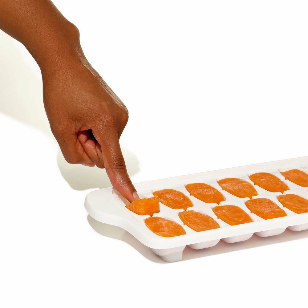 Baby Food Freezer Tray Set